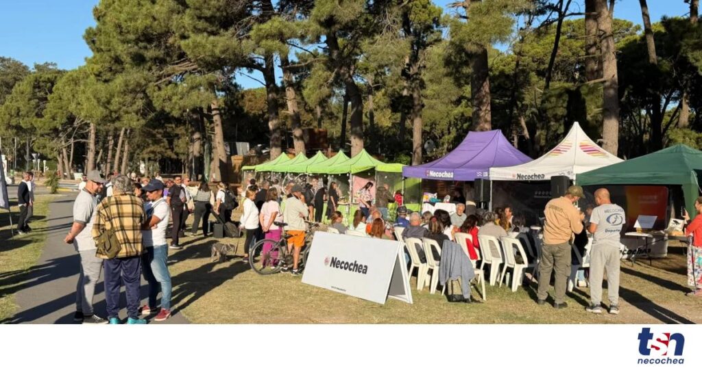 09-03-FOTO-Pino-Pinonero4-OG