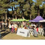 09-03-FOTO-Pino-Pinonero4-OG