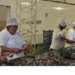 27-12-FOTO-Engraucoop-3-OG