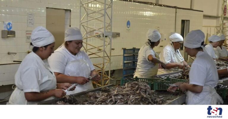 27-12-FOTO-Engraucoop-3-OG