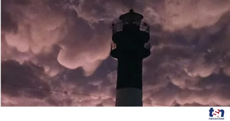 Captura-de-pantalla-2025-02-24-091409-OG