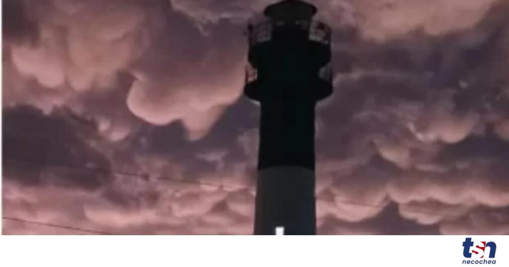 Screenshot_20260320_172335_Chrome-OG