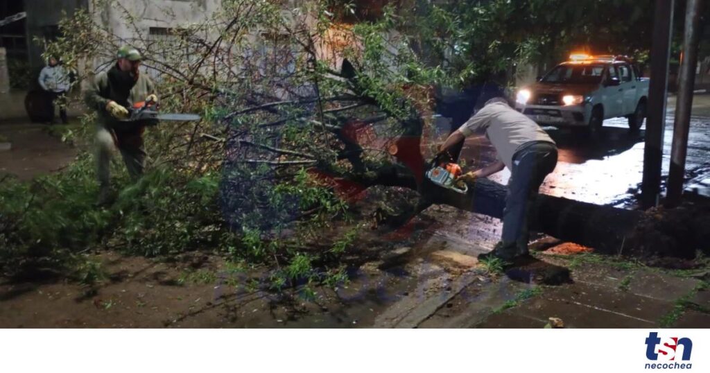 WhatsApp-Image-2026-03-16-at-21.51.30-OG