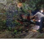 WhatsApp-Image-2026-03-16-at-21.51.30-OG