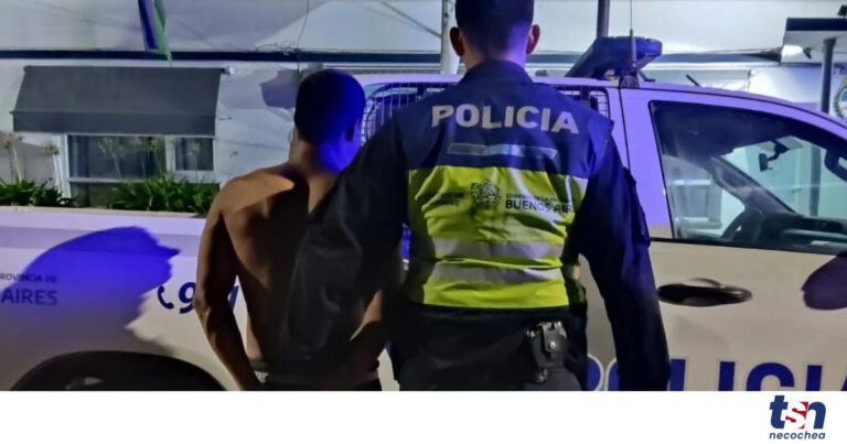 WhatsApp-Image-2026-03-18-at-15.13.21-OG