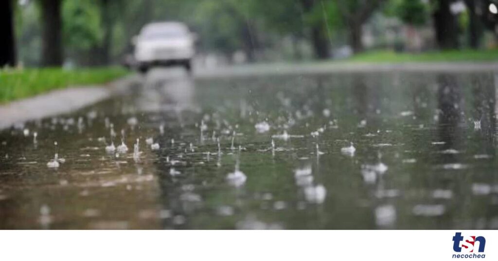 istockphoto-982222848-612x612-1-OG