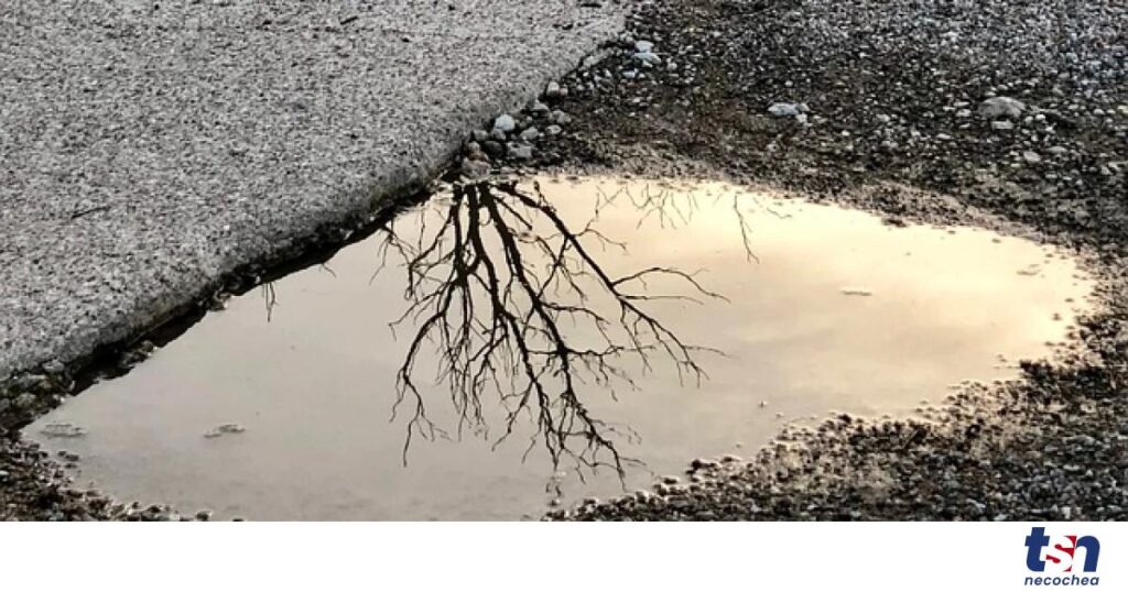 puddle-4614780_640-OG