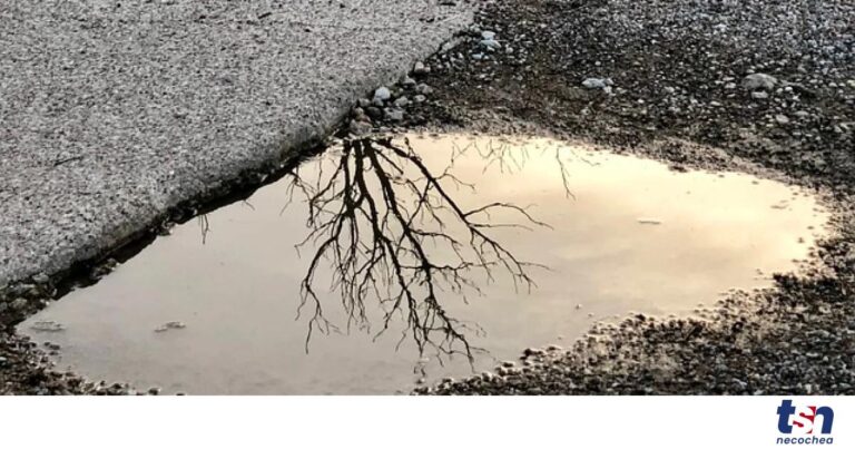 puddle-4614780_640-OG