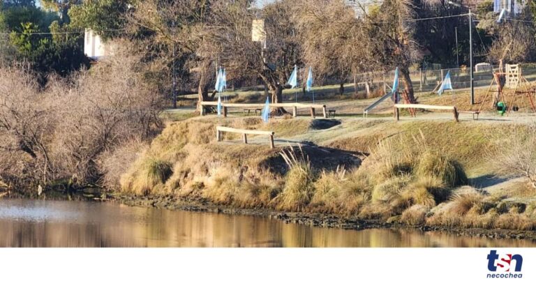 1ba16e9f-5fd6-4b63-9386-63037af7d5e2-OG