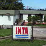 20260407203027_1775591255