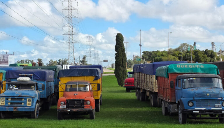 20260411115413_inshot-20260411-115324132