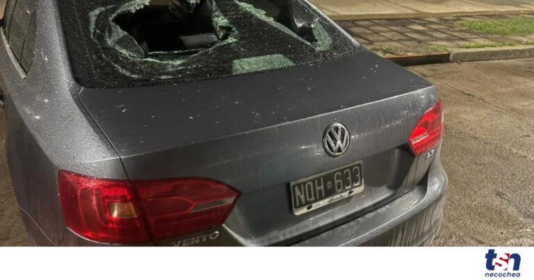 WhatsApp-Image-2026-04-06-at-09.58.56-OG