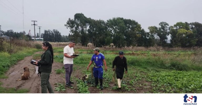 WhatsApp-Image-2026-04-15-at-16.00.34-OG