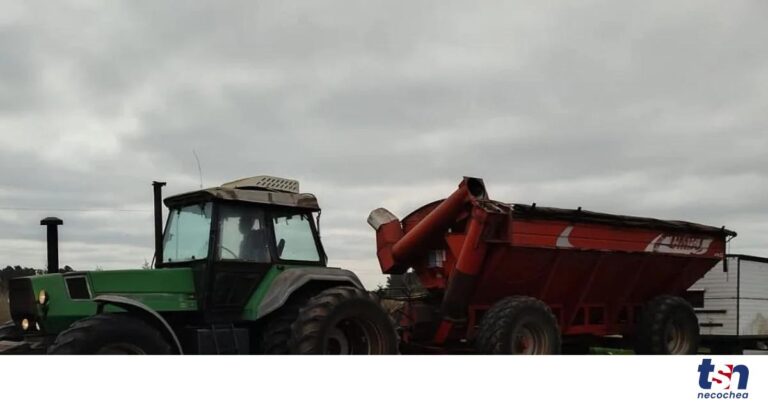 WhatsApp-Image-2026-04-16-at-21.36.33-1-OG