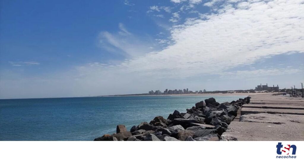 c791a680-7137-4fcb-906e-a573c45d3191-OG