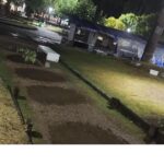 db23d453-70d7-420b-bddd-ec8bbcd8bdb0-OG