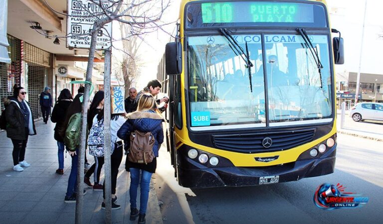La UCR y la crisis del servicio de micros