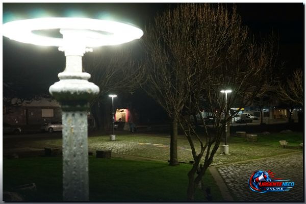 Licitación de luminarias por más de 600 millones