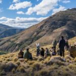 Sin el capítulo sobre la Ley de Tierras: qué cambios mantiene el proyecto que debatirá el Senado