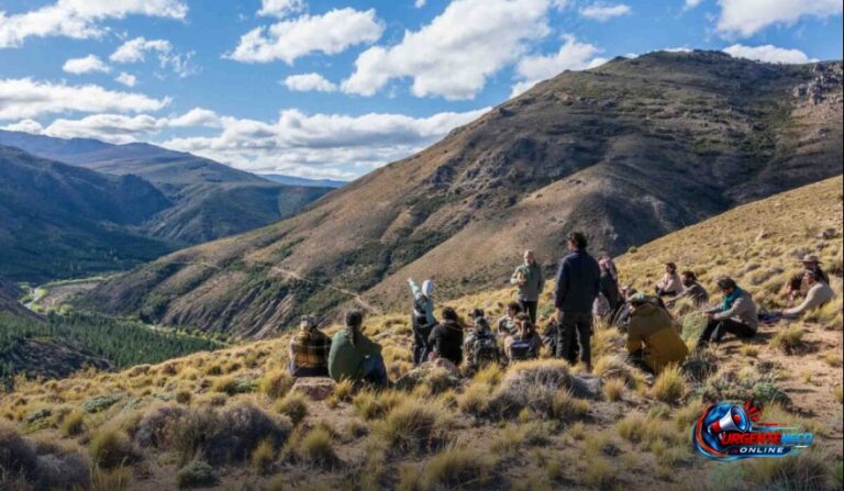 Sin el capítulo sobre la Ley de Tierras: qué cambios mantiene el proyecto que debatirá el Senado