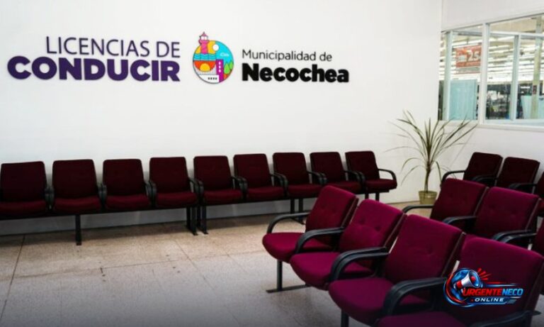 Buscan simplificar el trámite para la licencia profesional